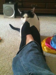 oreo shoes