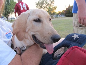 IMG_0692