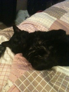 jack sleep